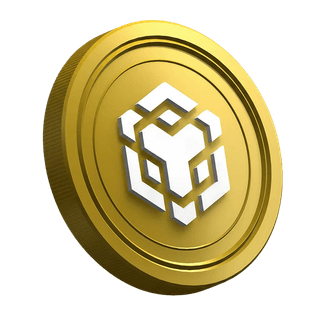Token BNB di Binance visualizzato nella sezione guida dedicata ai trader principianti